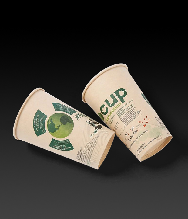 Paper Cups Supplier: Which Is Your Best Choice